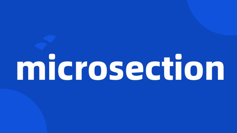 microsection