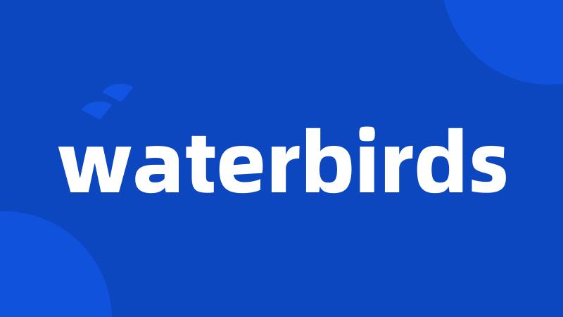 waterbirds