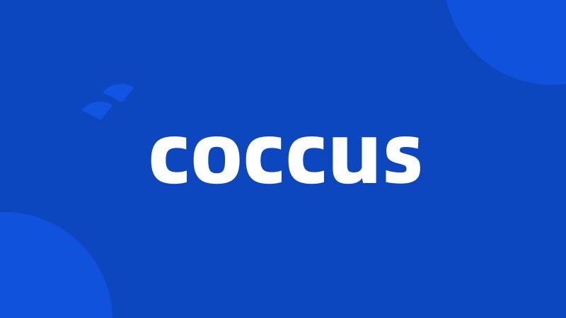coccus