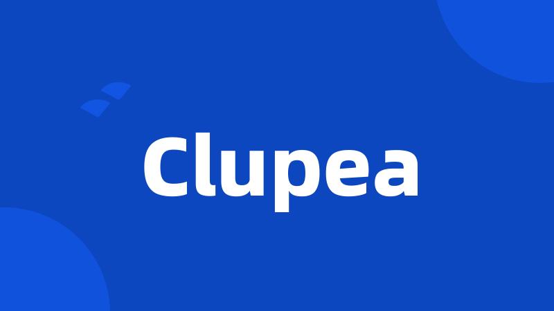 Clupea