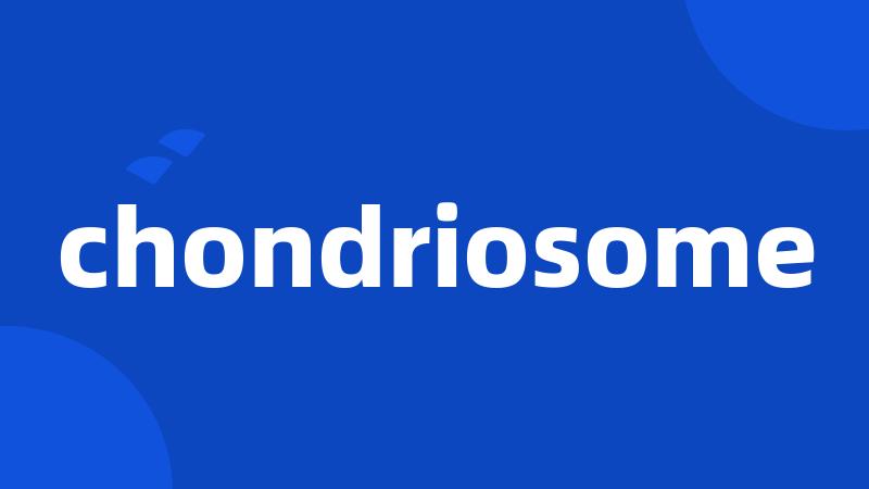 chondriosome