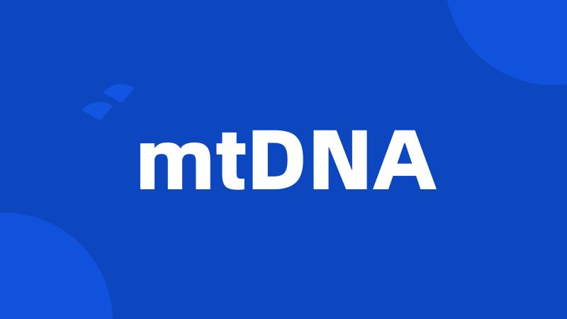 mtDNA