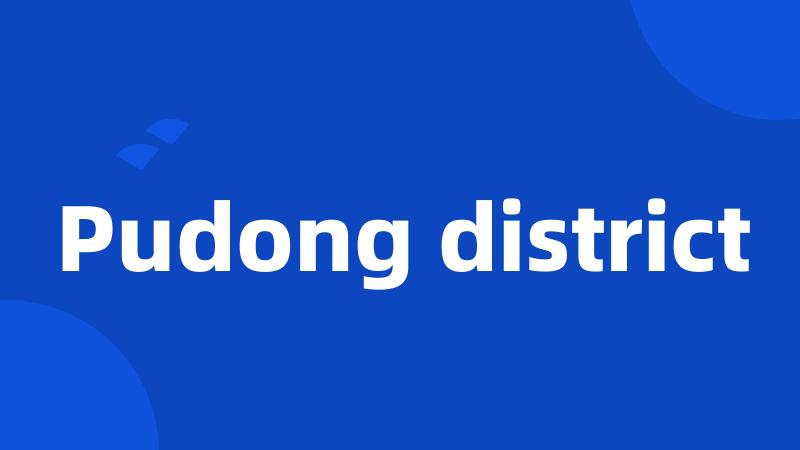 Pudong district