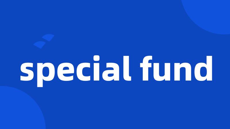 special fund