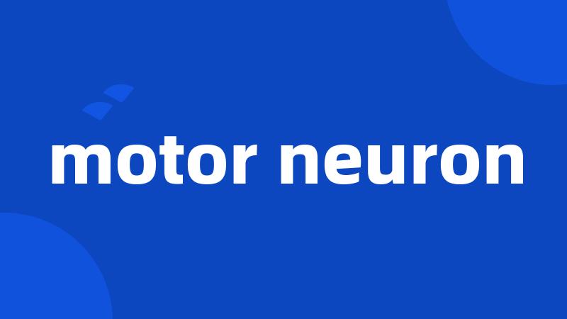 motor neuron