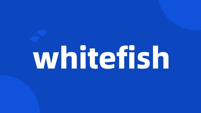 whitefish