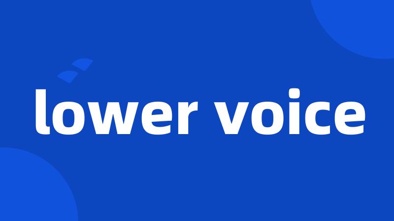 lower voice