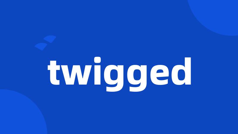 twigged