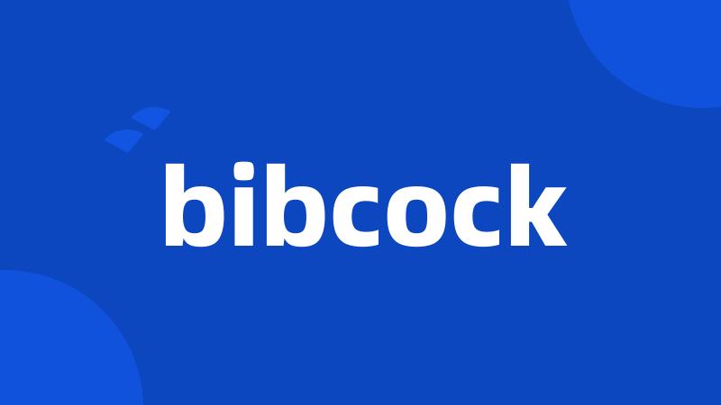 bibcock