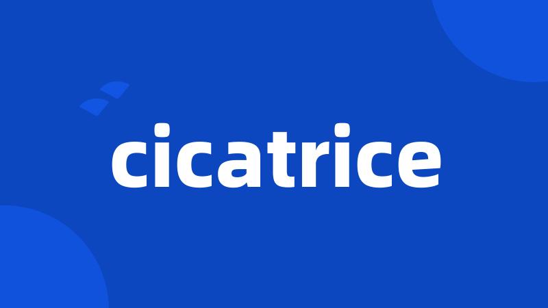 cicatrice