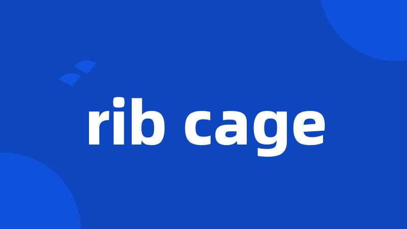 rib cage