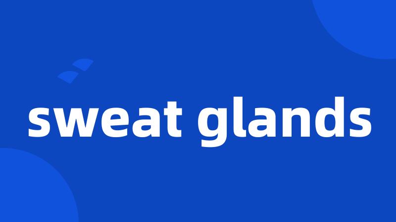 sweat glands