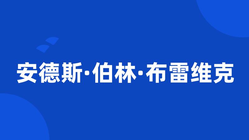 安德斯·伯林·布雷维克