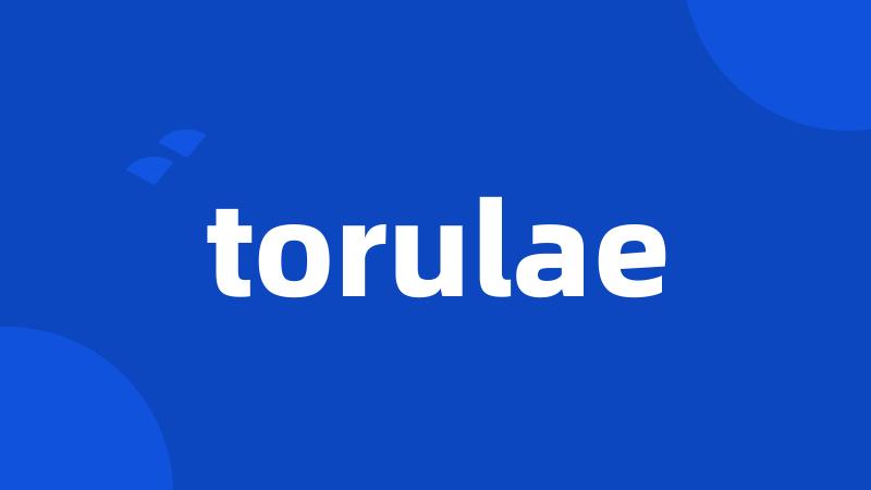 torulae