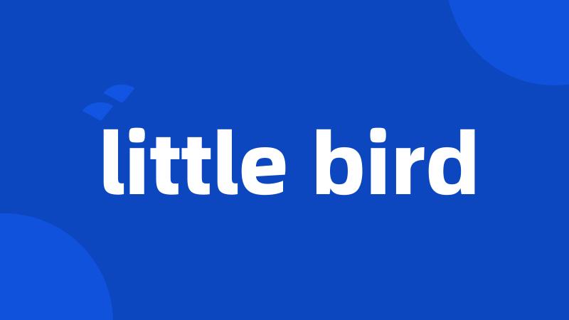 little bird