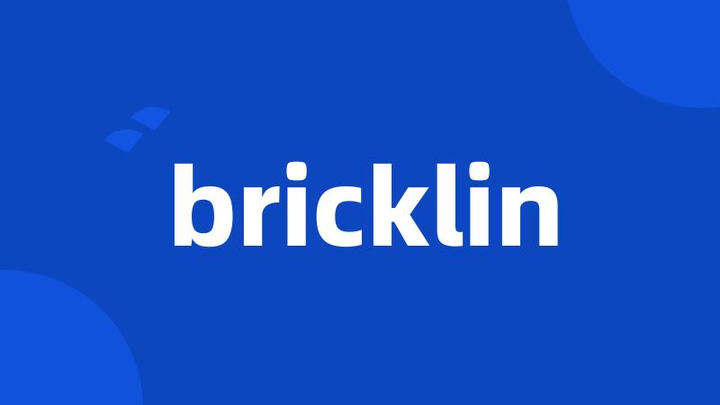bricklin