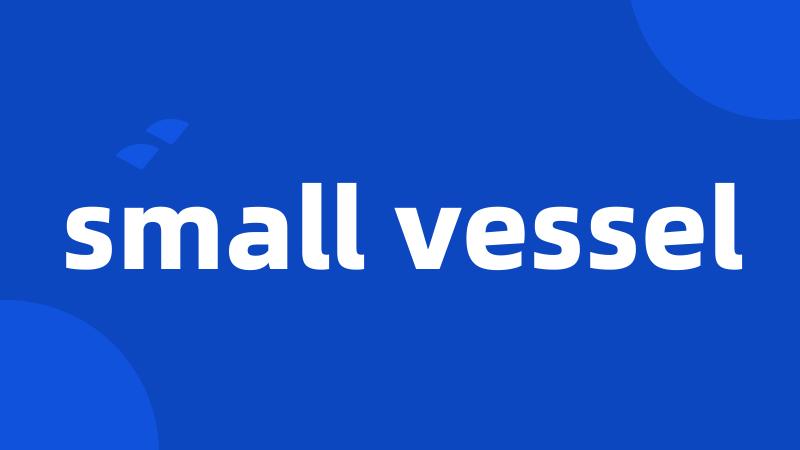 small vessel