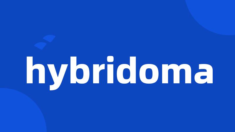 hybridoma