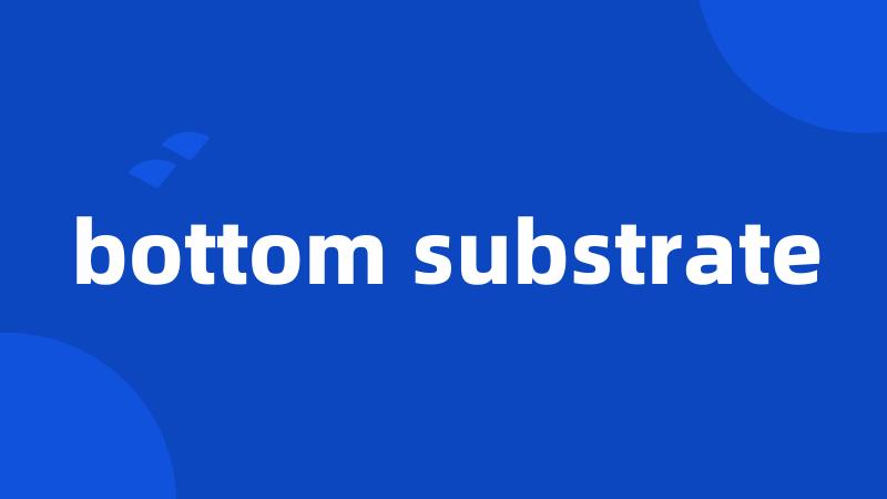 bottom substrate