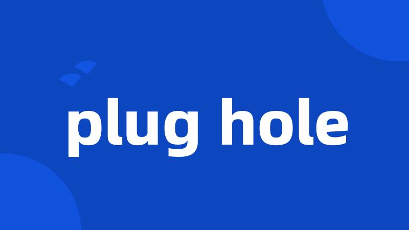 plug hole