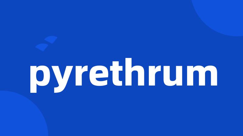 pyrethrum