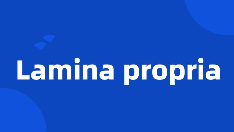 Lamina propria