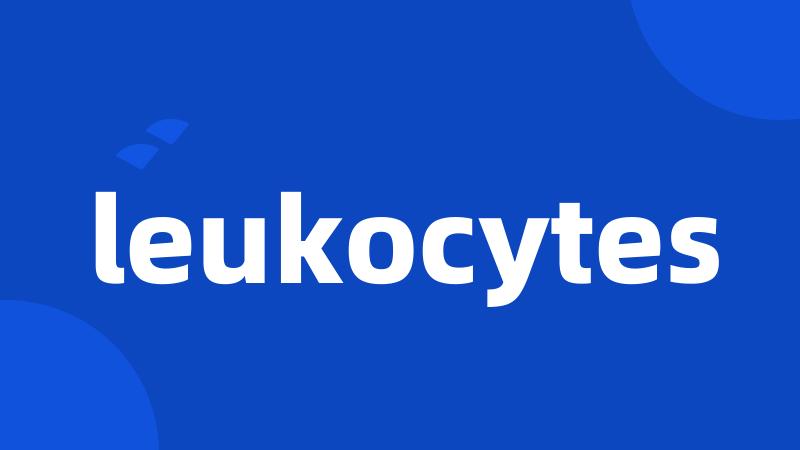 leukocytes