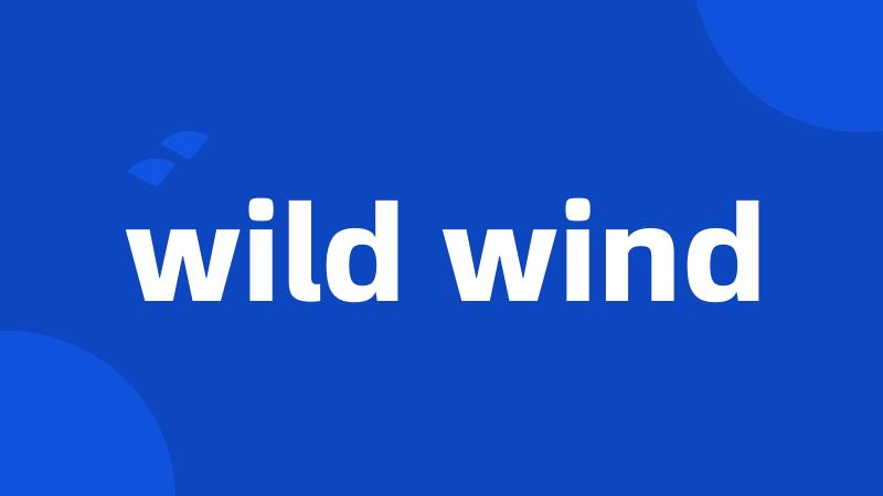 wild wind