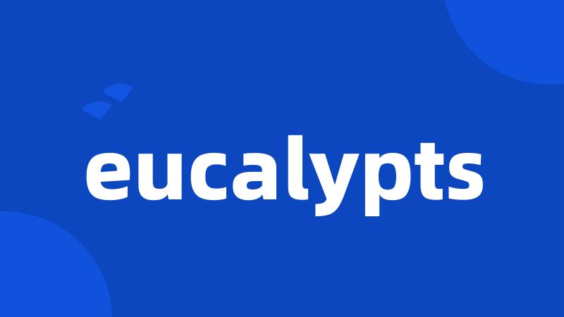 eucalypts
