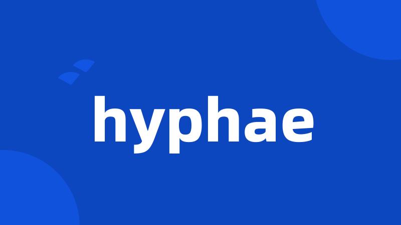 hyphae