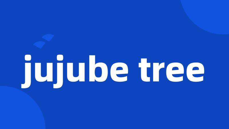 jujube tree