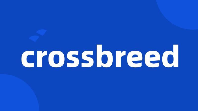 crossbreed