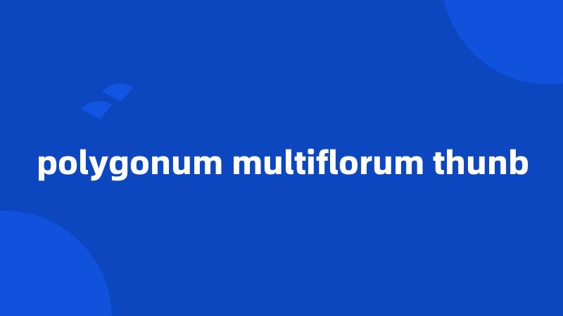 polygonum multiflorum thunb