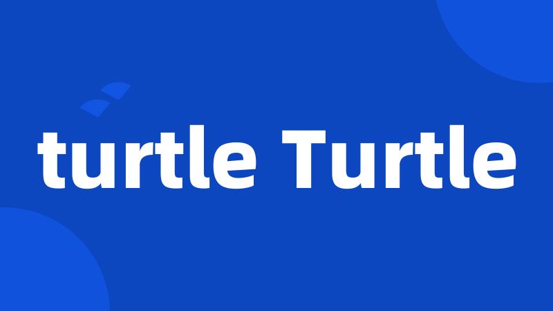 turtle Turtle
