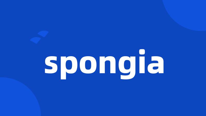 spongia