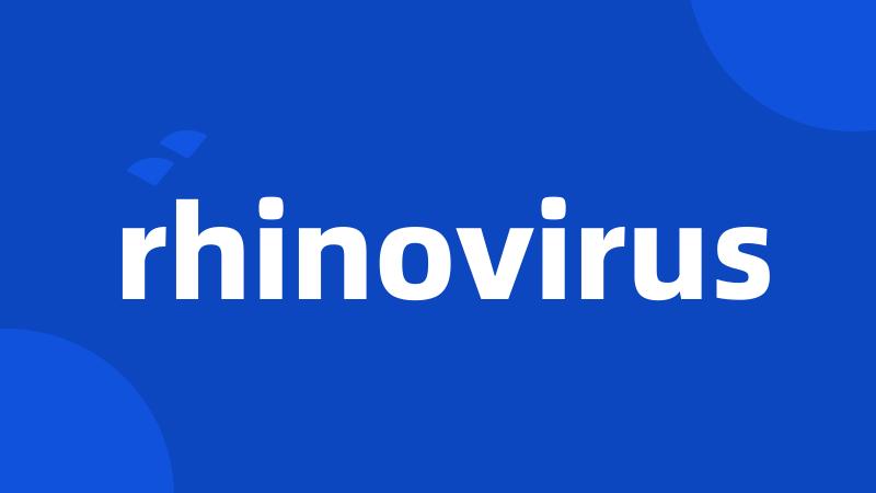 rhinovirus