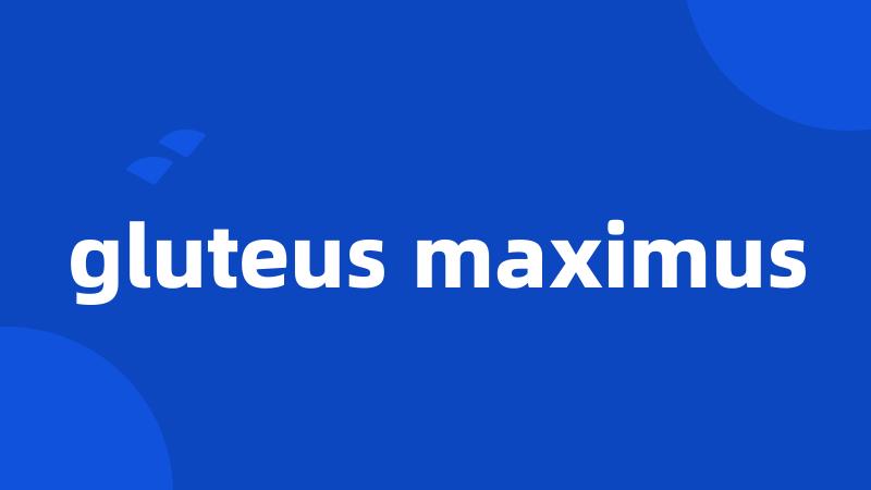 gluteus maximus