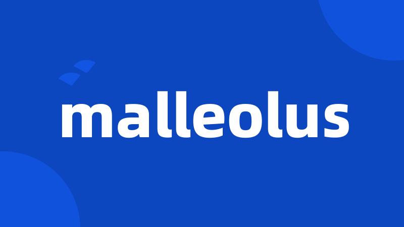 malleolus