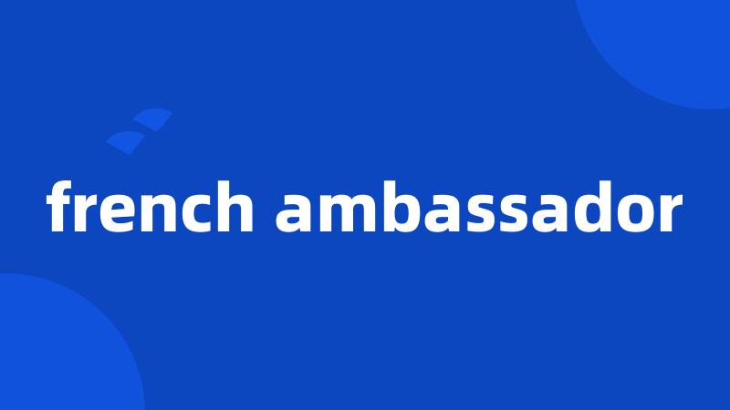 french ambassador
