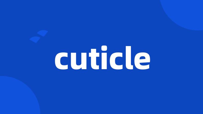 cuticle