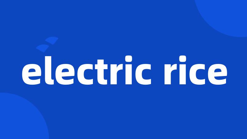 electric rice