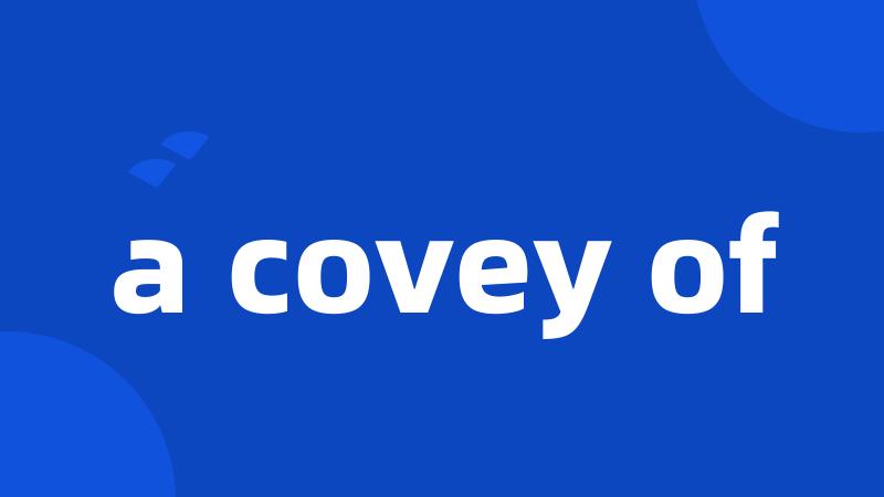 a covey of