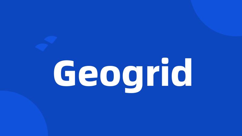 Geogrid