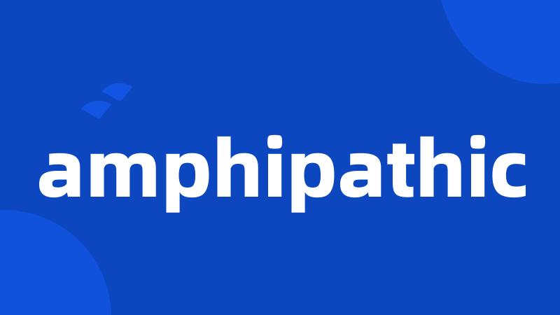 amphipathic