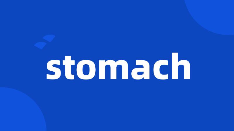 stomach