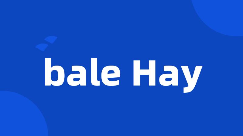 bale Hay