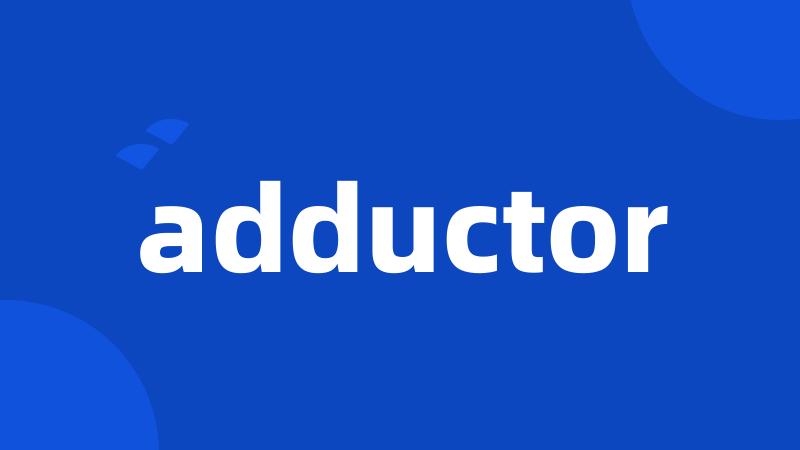 adductor