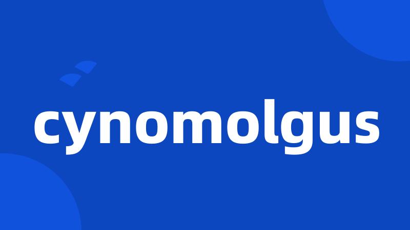 cynomolgus