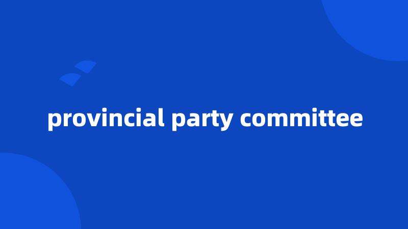 provincial party committee