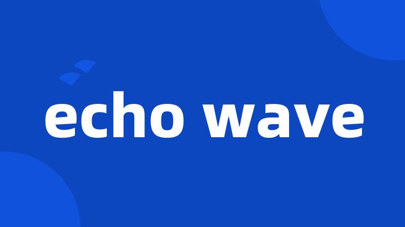 echo wave